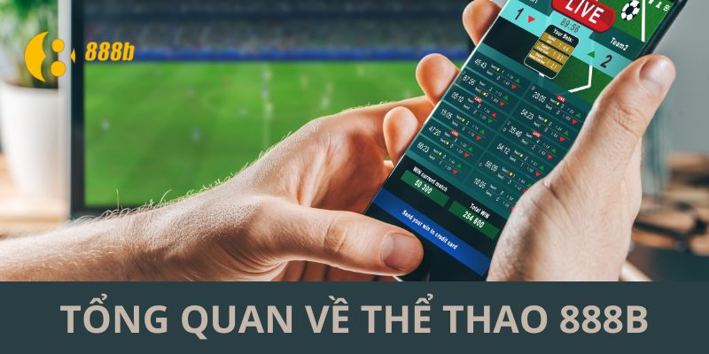 Tổng quan về sân chơi thể thao 888b