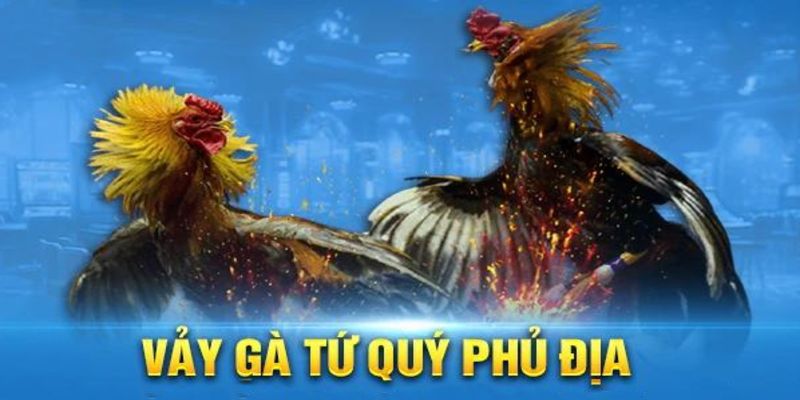 Cách phân loại vảy gà tứ quý phủ địa