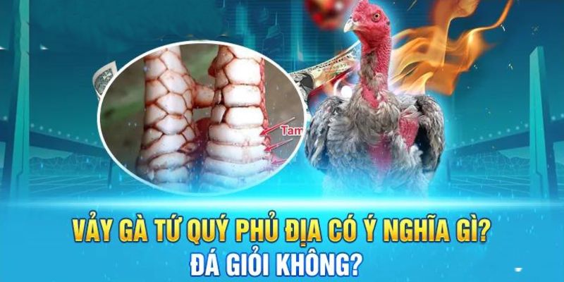 Ý nghĩa và giá trị của vảy tứ quý phủ địa thế nào?