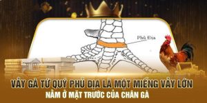 Dấu hiệu nhận biết vảy gà tứ quý phủ địa