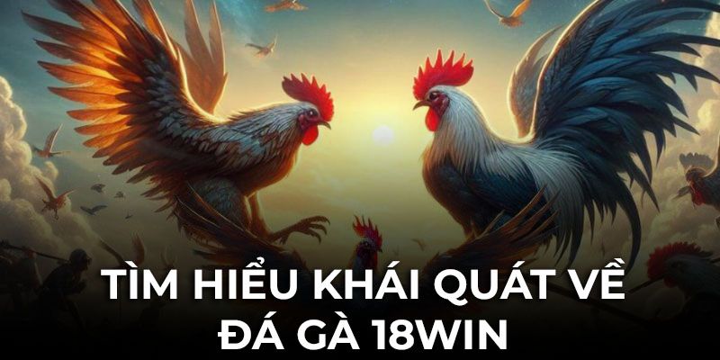 Khái quát vài nét về sảnh chọi kê